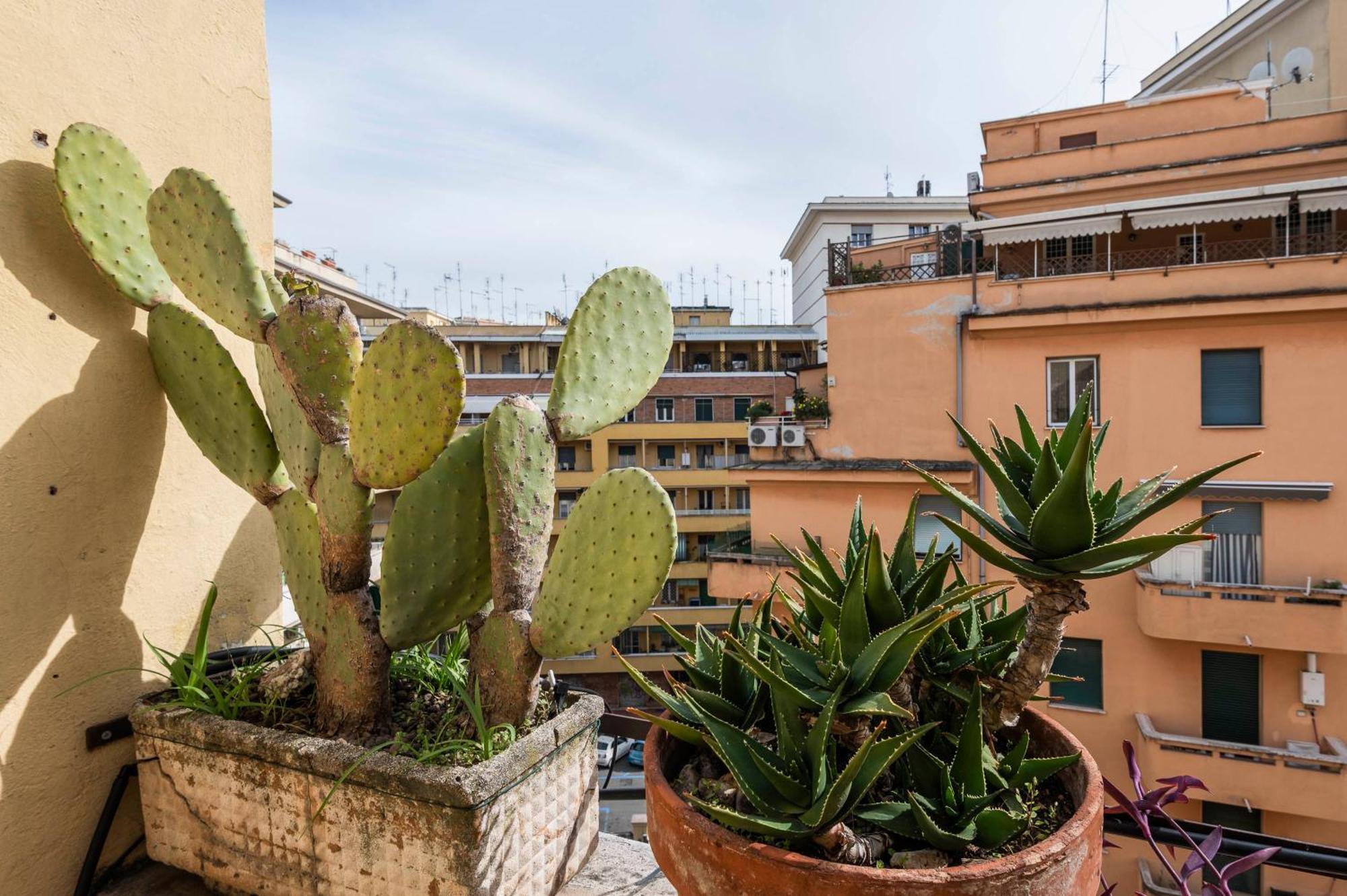 Appio Latino Zen Apartment-zeno 31 Apartamento Roma